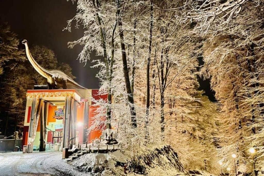 Mario'S Cozy Apartment Rîşnov Екстериор снимка